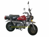 2010 Puma Apollo 125 photo